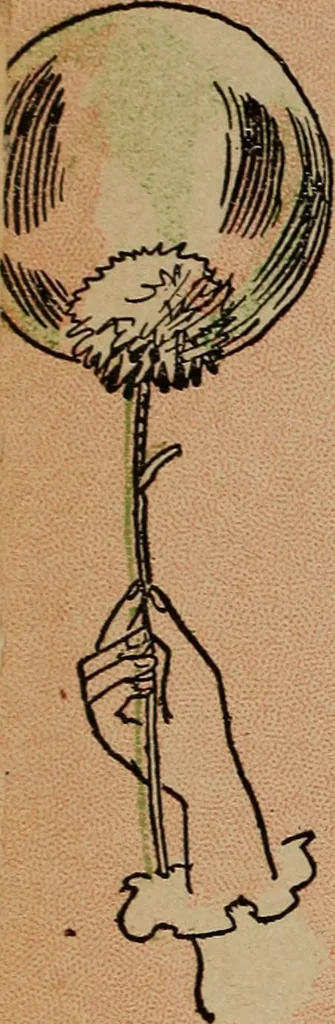 An illustration from Games, pastimes and amusements, for boys and girls;, 1906, leaf 173