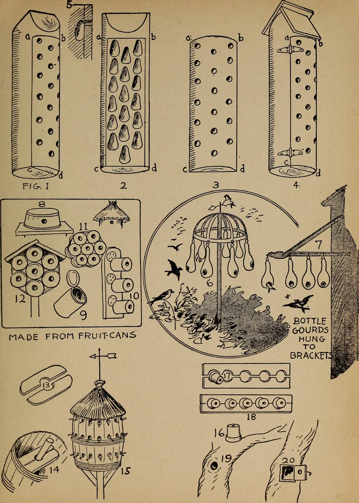 An illustration from Games, pastimes and amusements, for boys and girls;, 1906, leaf 194