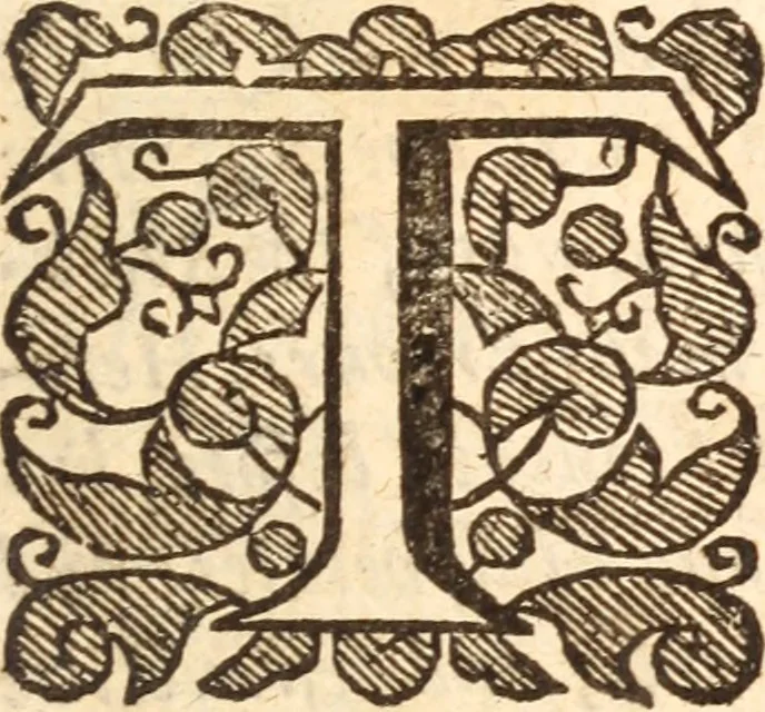 An illustration from Gangraena : or A catalogue and discovery of many of the errours, heresies, blasphemies and pernicious practices of the sectaries of this time .., 1646, leaf 252