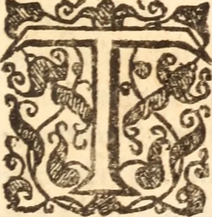 An illustration from Gangraena : or A catalogue and discovery of many of the errours, heresies, blasphemies and pernicious practices of the sectaries of this time .., 1646, leaf 700