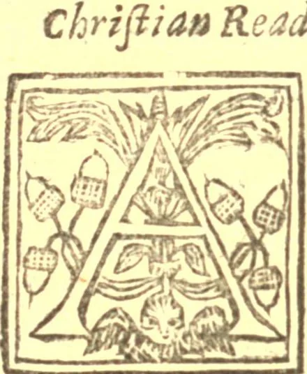 An illustration from The first and second part of Gangraena, or, A catalogue and discovery of many of the errors, heresies, blasphemies and pernicious practices of the sectaries of this time, vented and acted in England in these four last years : also a particular narration of divers stories, remarkable passages, letters; an extract of many letters, all concerning the present sects; together with some observations upon, and corollaries from all the fore-named premisses, 1646, leaf 214