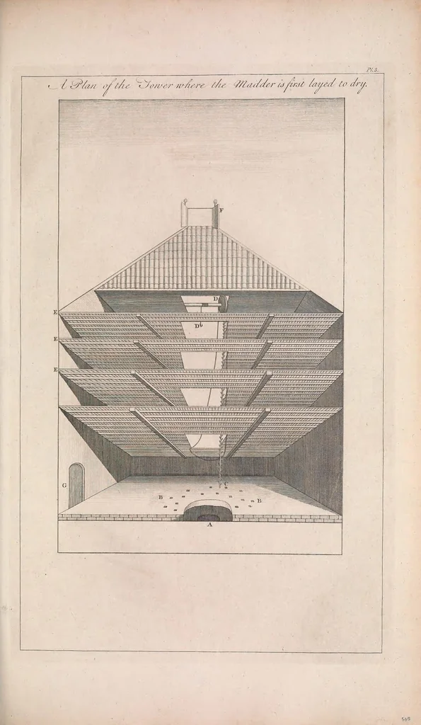 An illustration from The gardeners dictionary : containing the best and newest methods of cultivating and improving the kitchen, fruit, flower garden, and nursery, as also for performing the practical parts of agriculture : including the management of vineyards, with the methods of making and preserving wine, according to the present practice of the most skilful vignerons in the several wine countries in Europe : together with directions for propagating and improving, for real practice and experience, all sorts of timber trees, 1768, leaf 143