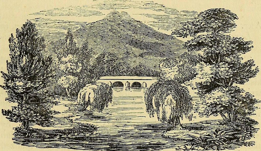 An illustration from The gardener's magazine and register of rural & domestic improvement, 1826, leaf 123