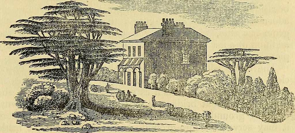 An illustration from The gardener's magazine and register of rural & domestic improvement, 1826, leaf 125