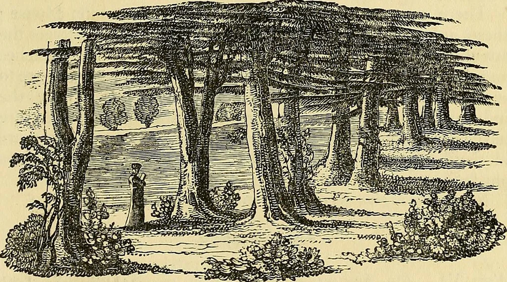 An illustration from The gardener's magazine and register of rural & domestic improvement, 1826, leaf 127