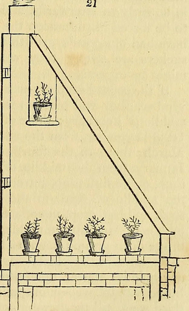 An illustration from The gardener's magazine and register of rural & domestic improvement, 1826, leaf 129