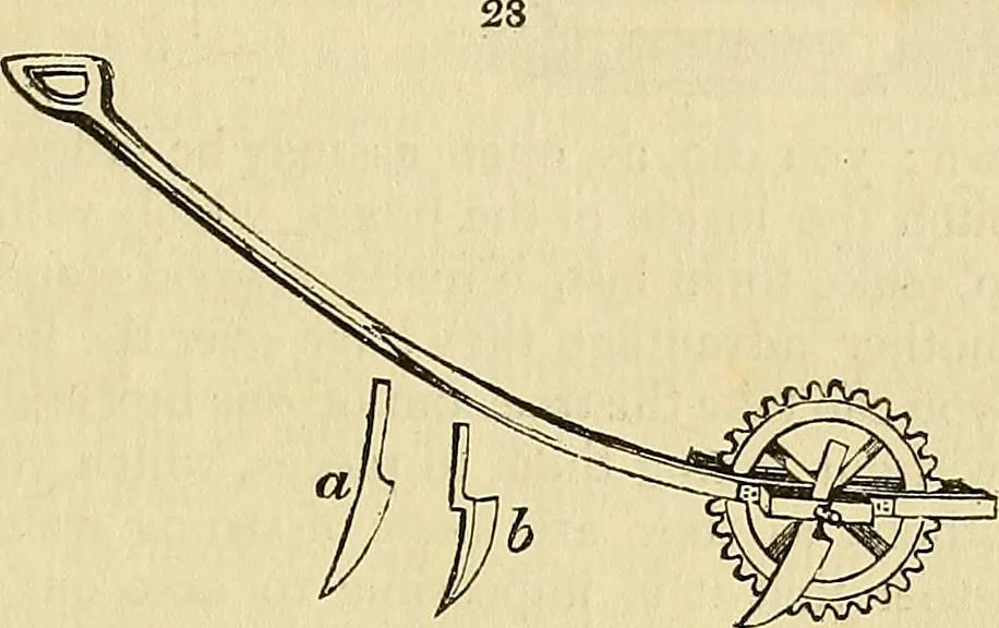 An illustration from The gardener's magazine and register of rural & domestic improvement, 1826, leaf 145