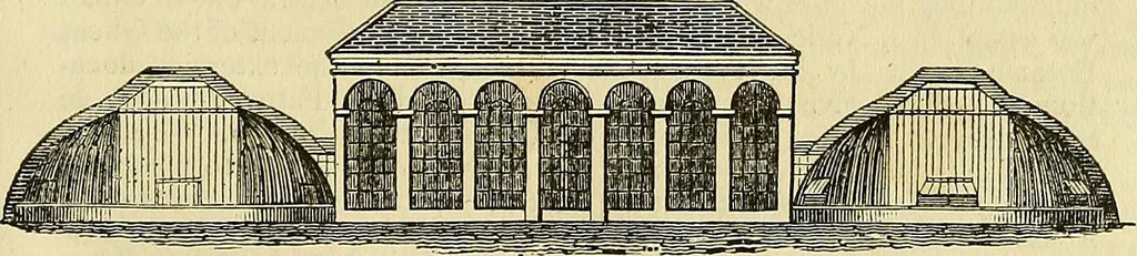 An illustration from The gardener's magazine and register of rural & domestic improvement, 1826, leaf 207