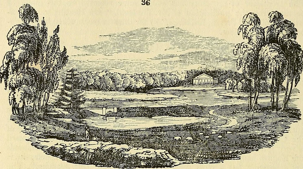 An illustration from The gardener's magazine and register of rural & domestic improvement, 1826, leaf 210