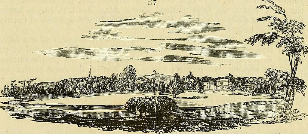 An illustration from The gardener's magazine and register of rural & domestic improvement, 1826, leaf 211