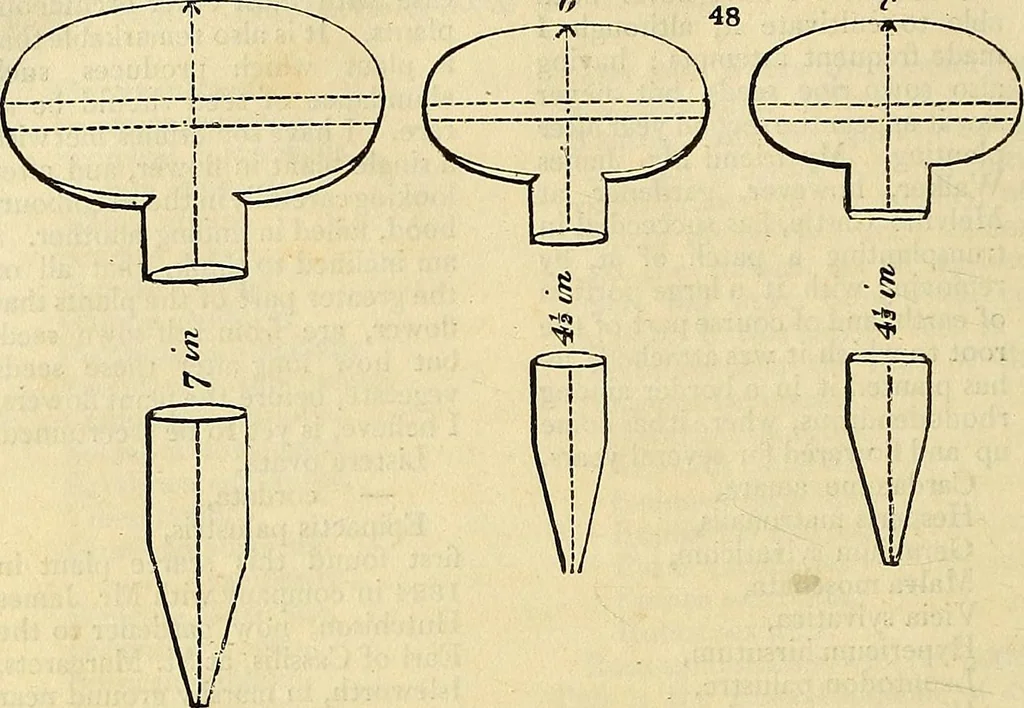 An illustration from The gardener's magazine and register of rural & domestic improvement, 1826, leaf 260