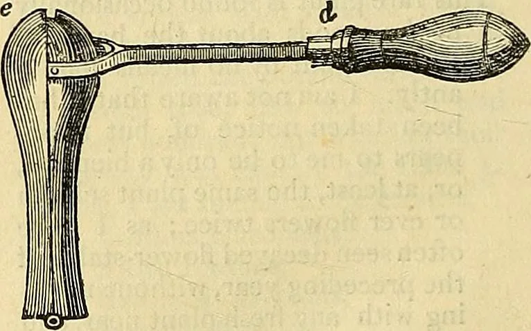 An illustration from The gardener's magazine and register of rural & domestic improvement, 1826, leaf 260