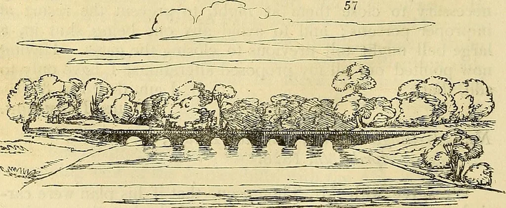 An illustration from The gardener's magazine and register of rural & domestic improvement, 1826, leaf 286