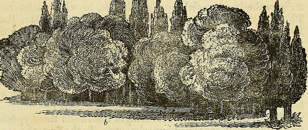 An illustration from The gardener's magazine and register of rural & domestic improvement, 1826, leaf 29
