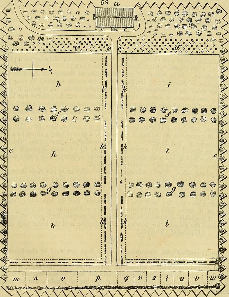 An illustration from The gardener's magazine and register of rural & domestic improvement, 1826, leaf 333