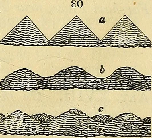 An illustration from The gardener's magazine and register of rural & domestic improvement, 1826, leaf 408
