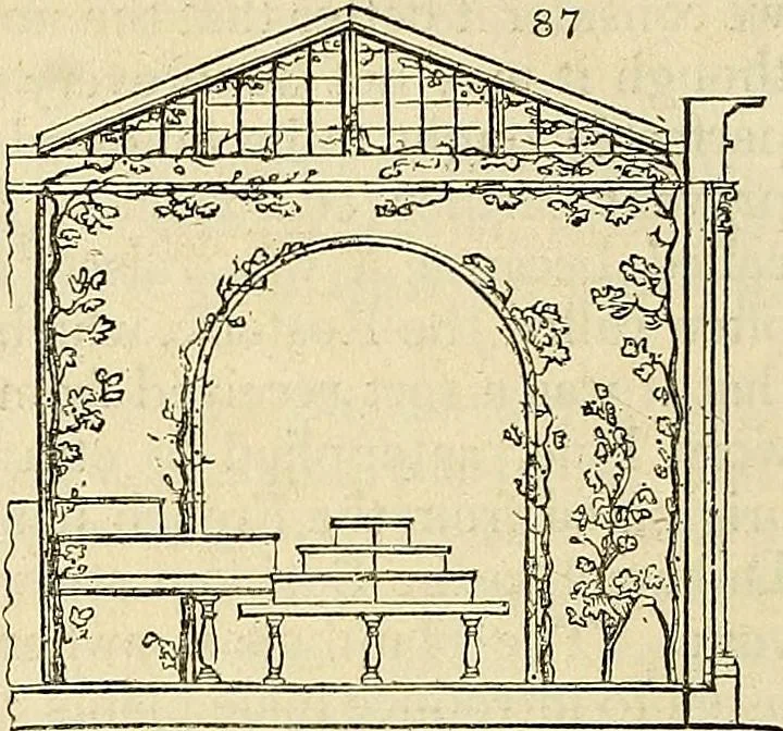 An illustration from The gardener's magazine and register of rural & domestic improvement, 1826, leaf 426