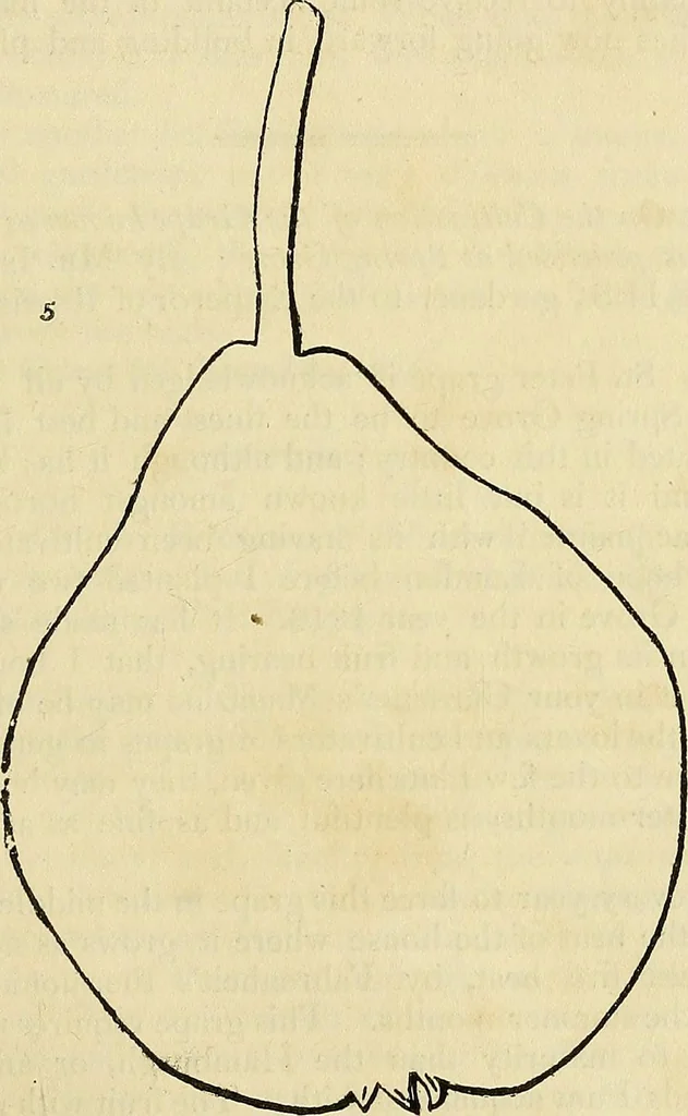 An illustration from The gardener's magazine and register of rural & domestic improvement, 1826, leaf 45