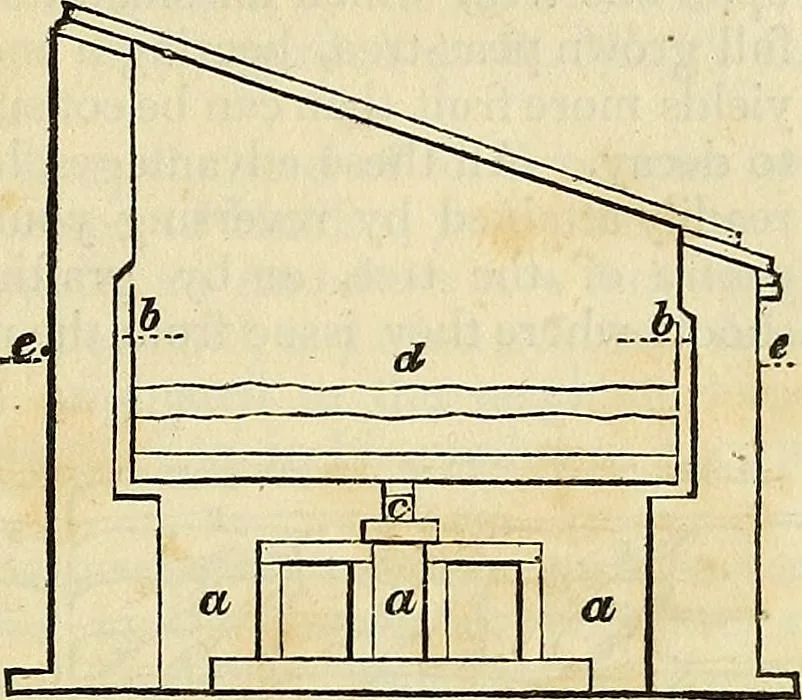 An illustration from The gardener's magazine and register of rural & domestic improvement, 1826, leaf 81