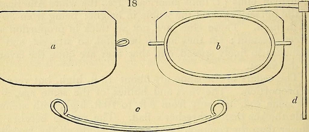 An illustration from The gardener's magazine and register of rural & domestic improvement, 1826, leaf 160
