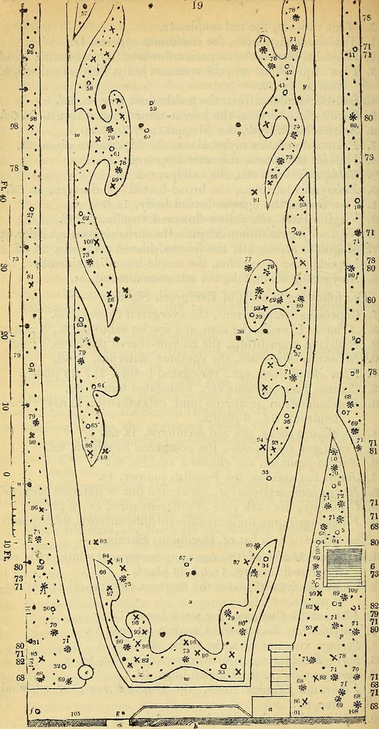 An illustration from The gardener's magazine and register of rural & domestic improvement, 1826, leaf 194
