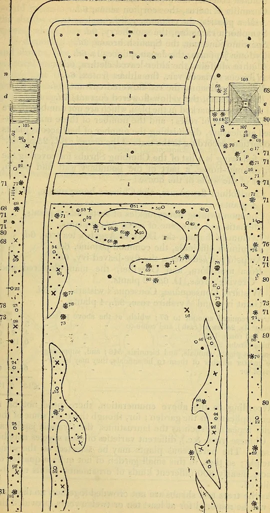An illustration from The gardener's magazine and register of rural & domestic improvement, 1826, leaf 195