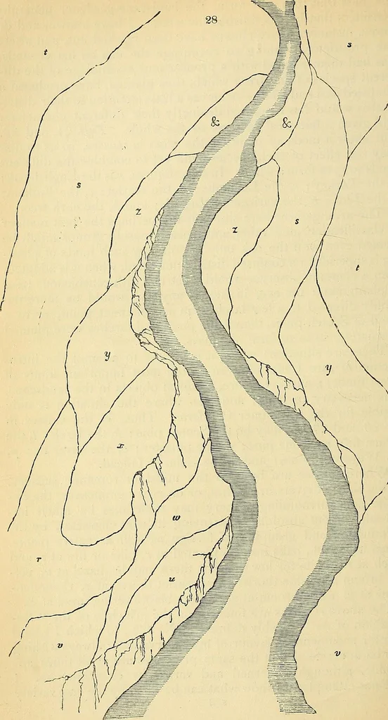 An illustration from The gardener's magazine and register of rural & domestic improvement, 1826, leaf 262