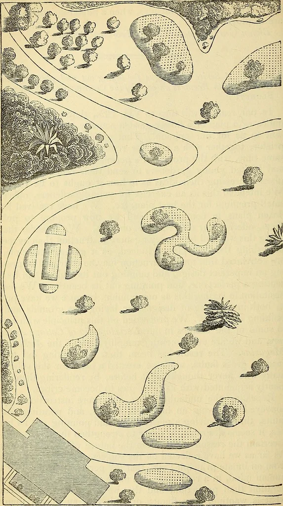 An illustration from The gardener's magazine and register of rural & domestic improvement, 1826, leaf 264