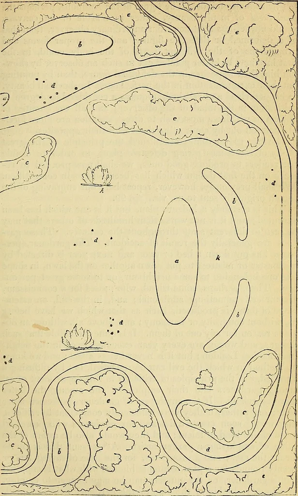 An illustration from The gardener's magazine and register of rural & domestic improvement, 1826, leaf 267