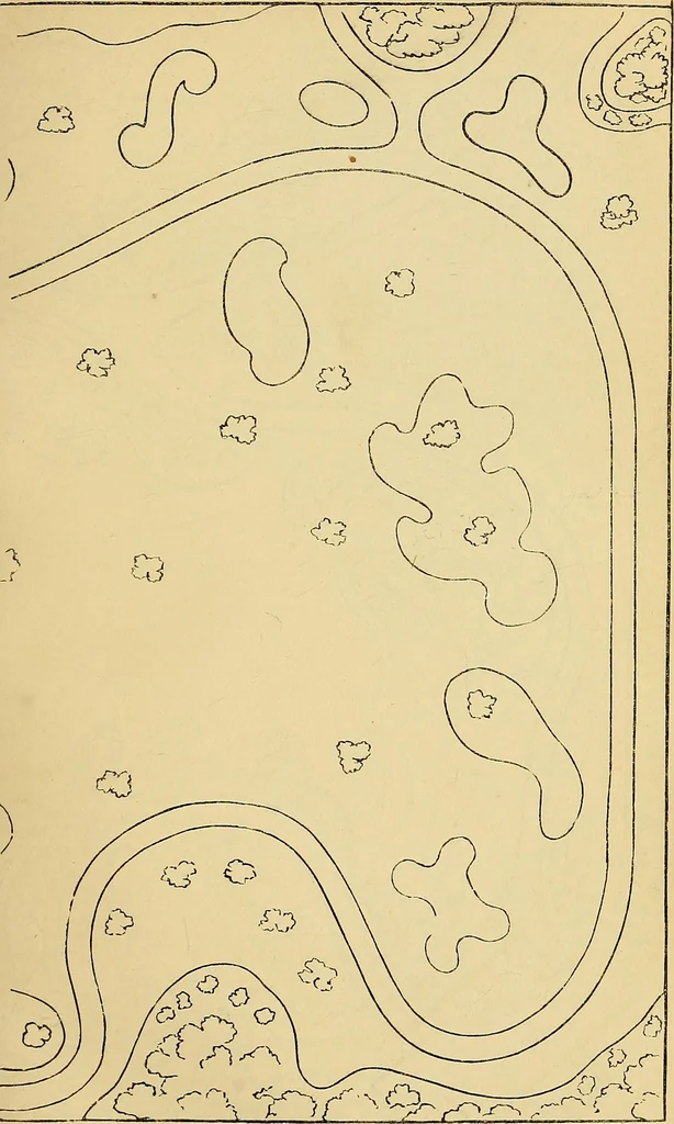 An illustration from The gardener's magazine and register of rural & domestic improvement, 1826, leaf 313