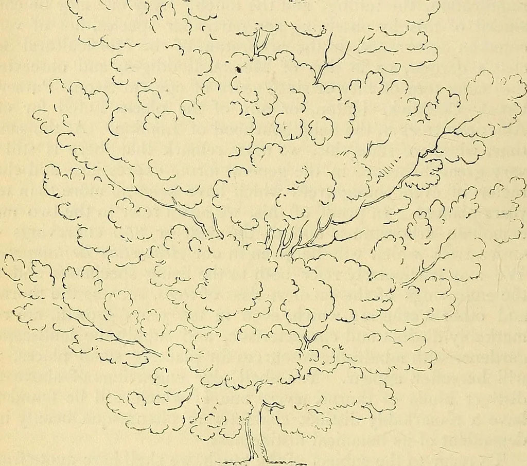 An illustration from The gardener's magazine and register of rural & domestic improvement, 1826, leaf 430