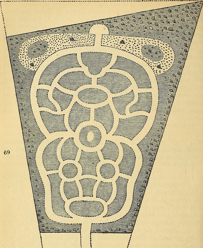 An illustration from The gardener's magazine and register of rural & domestic improvement, 1826, leaf 486
