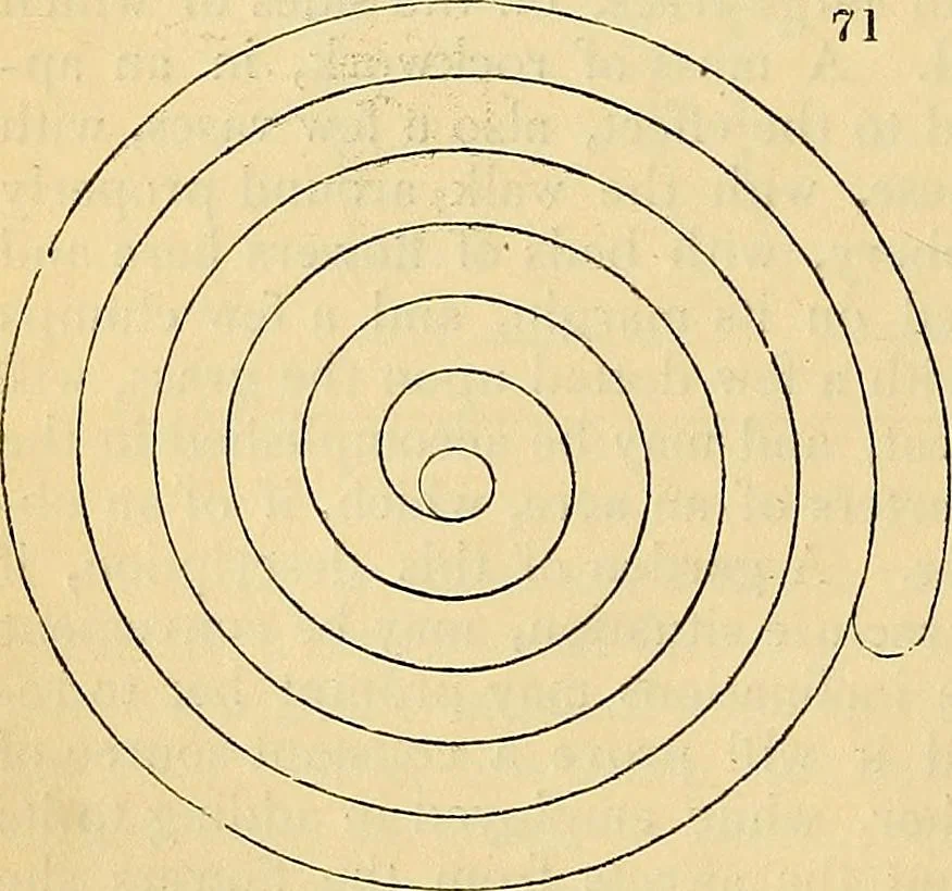 An illustration from The gardener's magazine and register of rural & domestic improvement, 1826, leaf 488