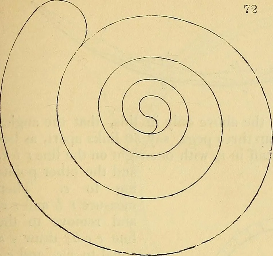 An illustration from The gardener's magazine and register of rural & domestic improvement, 1826, leaf 489