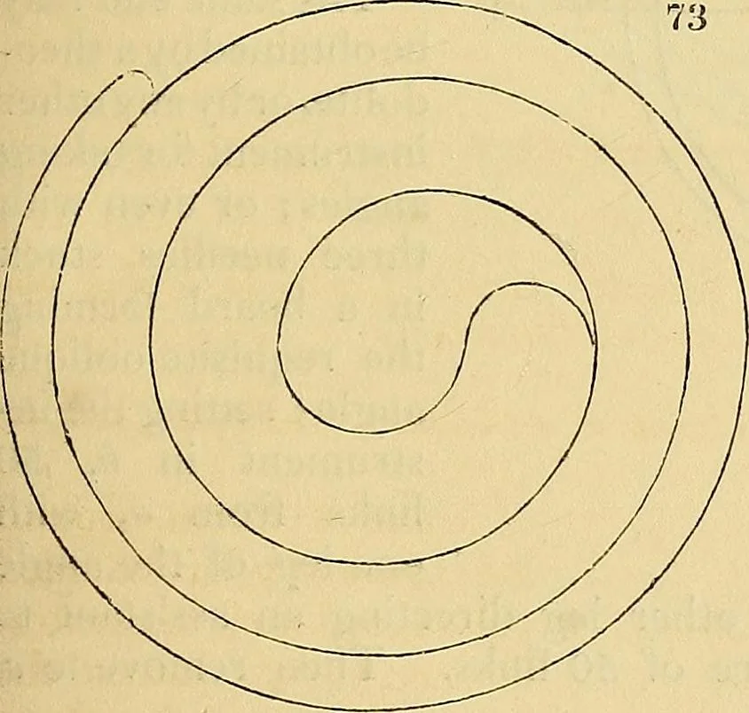 An illustration from The gardener's magazine and register of rural & domestic improvement, 1826, leaf 489