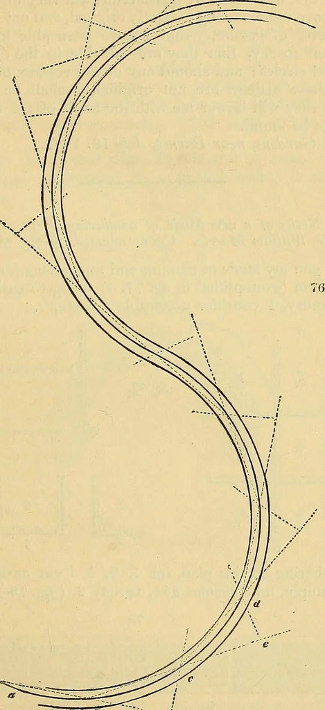 An illustration from The gardener's magazine and register of rural & domestic improvement, 1826, leaf 491