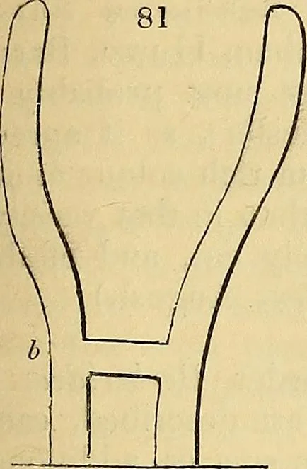 An illustration from The gardener's magazine and register of rural & domestic improvement, 1826, leaf 497