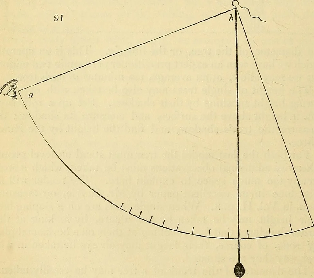 An illustration from The gardener's magazine and register of rural & domestic improvement, 1826, leaf 546