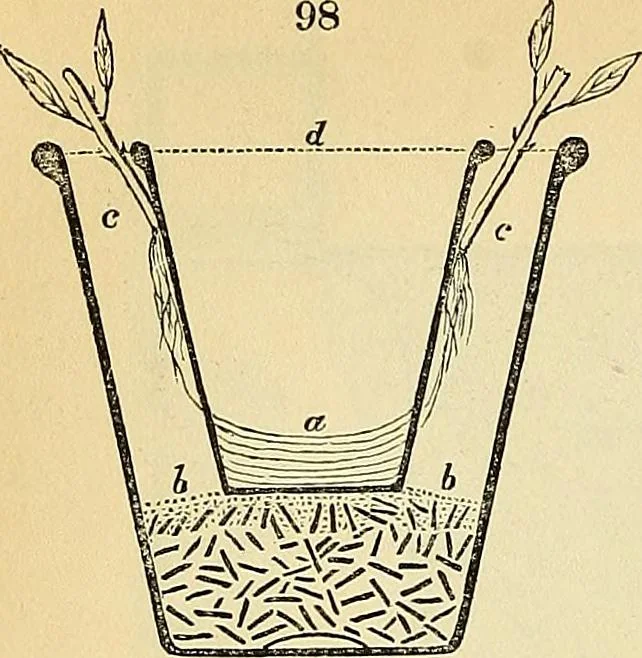 An illustration from The gardener's magazine and register of rural & domestic improvement, 1826, leaf 590