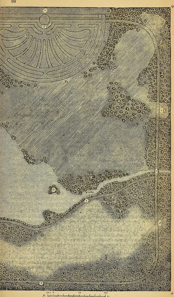 An illustration from The gardener's magazine and register of rural & domestic improvement, 1826, leaf 697