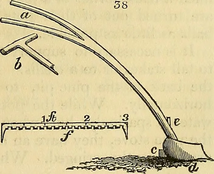 An illustration from The gardener's magazine and register of rural & domestic improvement, 1826, leaf 151
