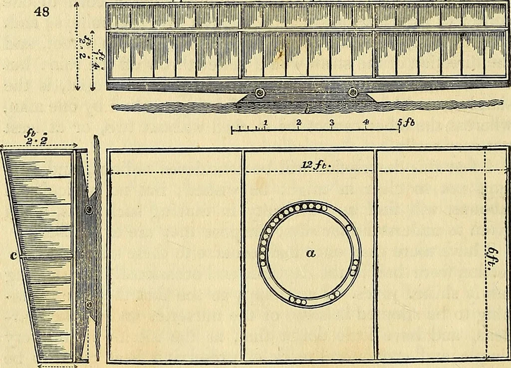 An illustration from The gardener's magazine and register of rural & domestic improvement, 1826, leaf 182