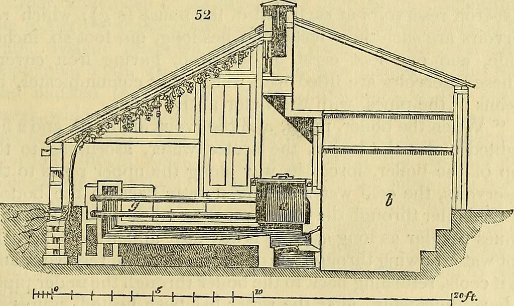 An illustration from The gardener's magazine and register of rural & domestic improvement, 1826, leaf 199