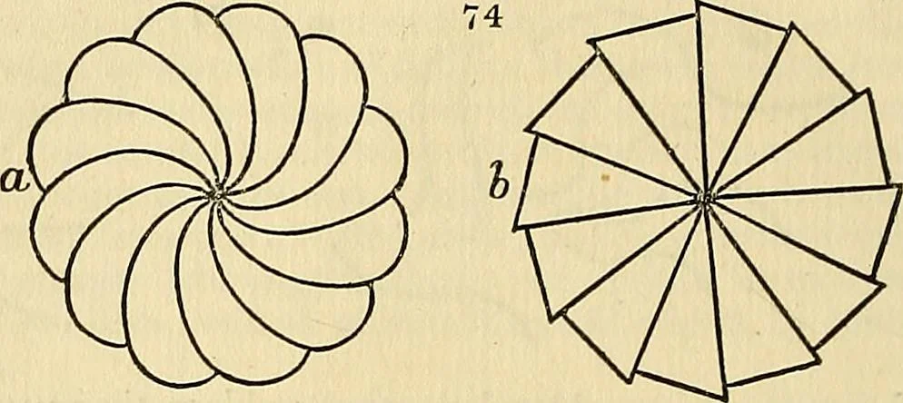 An illustration from The gardener's magazine and register of rural & domestic improvement, 1826, leaf 262