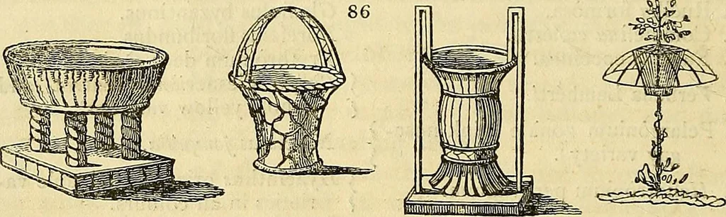 An illustration from The gardener's magazine and register of rural & domestic improvement, 1826, leaf 274