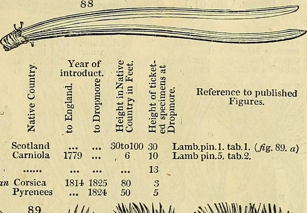 An illustration from The gardener's magazine and register of rural & domestic improvement, 1826, leaf 277