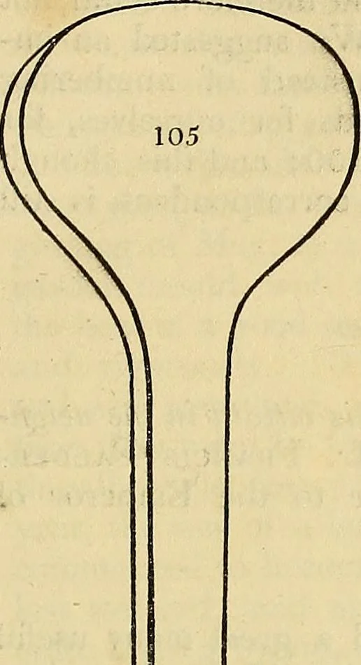 An illustration from The gardener's magazine and register of rural & domestic improvement, 1826, leaf 311