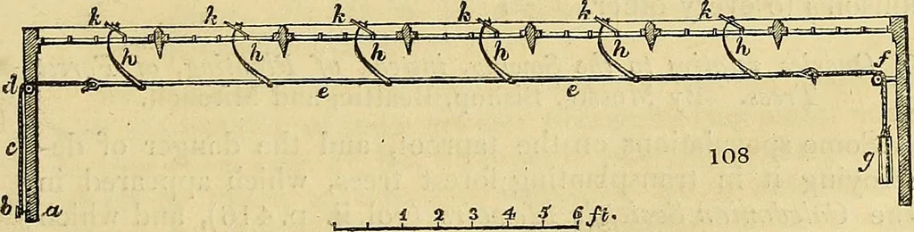 An illustration from The gardener's magazine and register of rural & domestic improvement, 1826, leaf 317