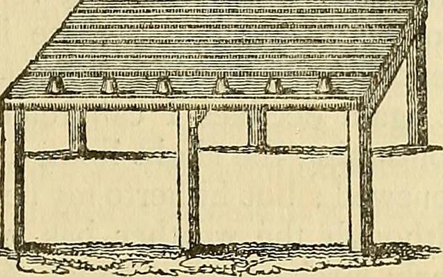 An illustration from The gardener's magazine and register of rural & domestic improvement, 1826, leaf 33