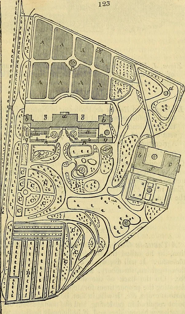 An illustration from The gardener's magazine and register of rural & domestic improvement, 1826, leaf 353